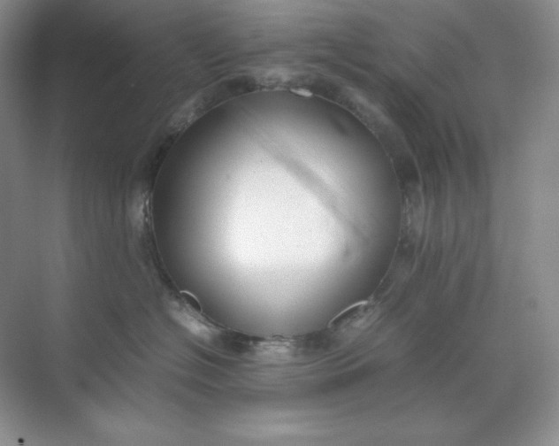 X0000071920574200607212111