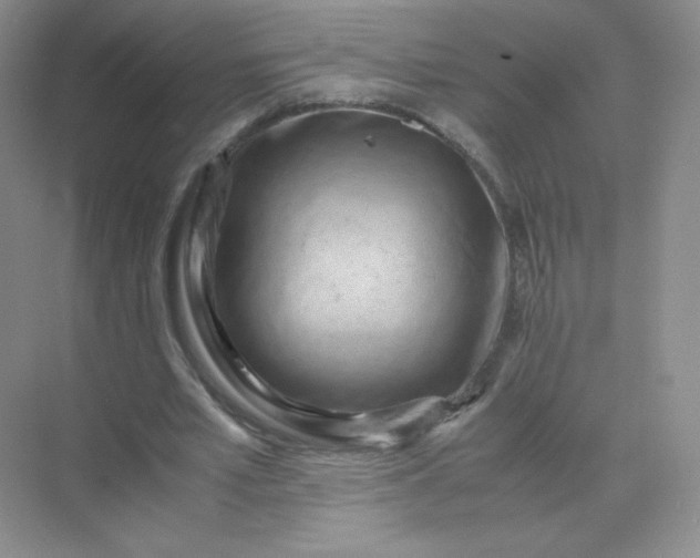 X0000071920581200607212110