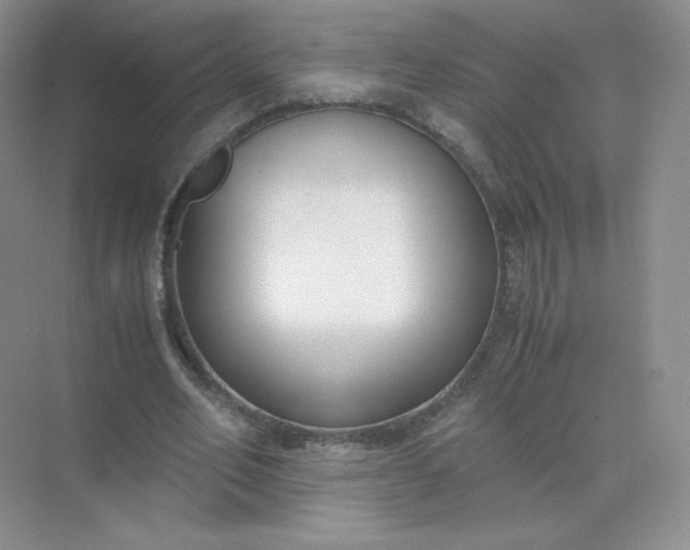 X0000071920582200607212110