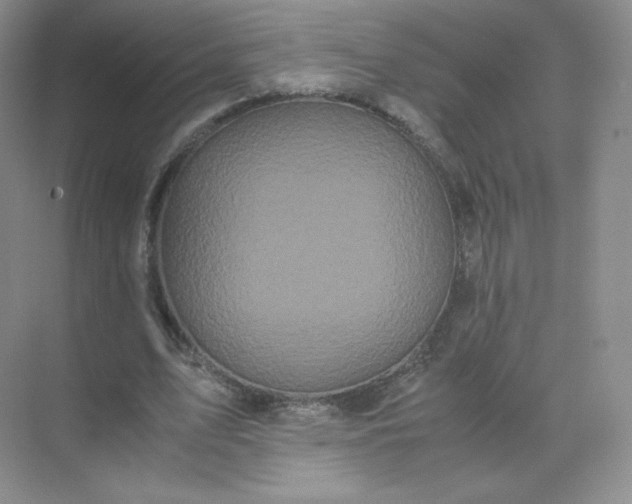 X0000071920583200607212110