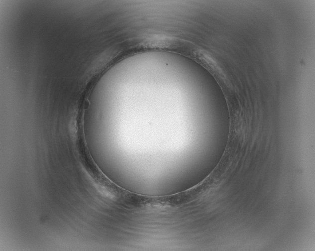 X0000071920586200607212110
