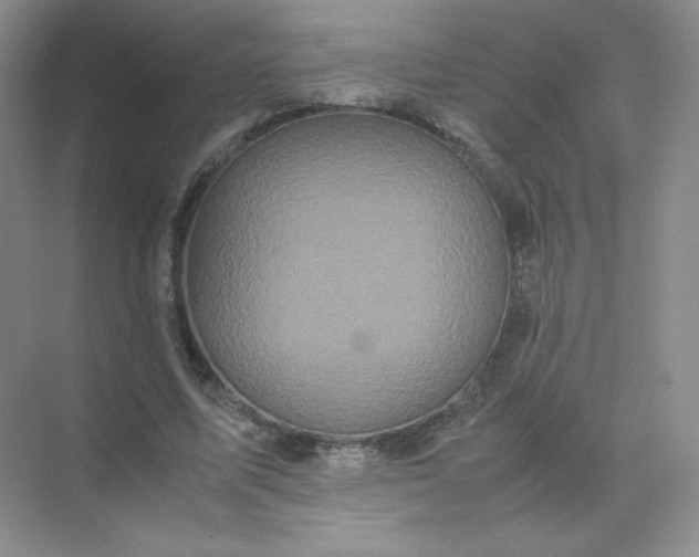 X0000071920587200607212110