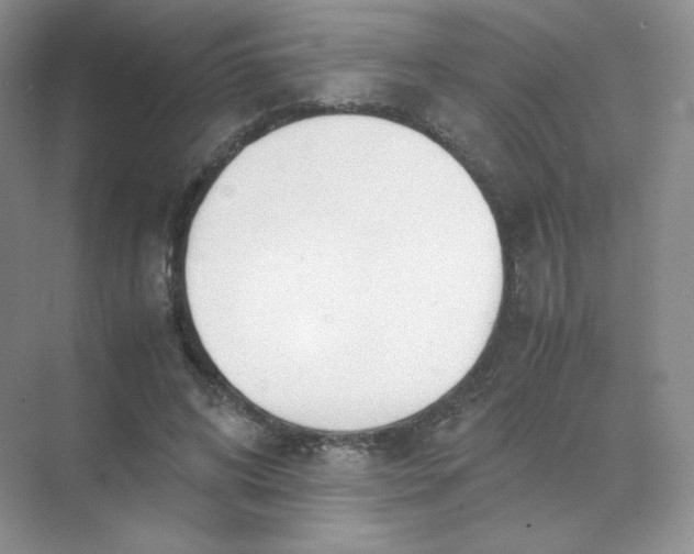 X0000071920592200607212110