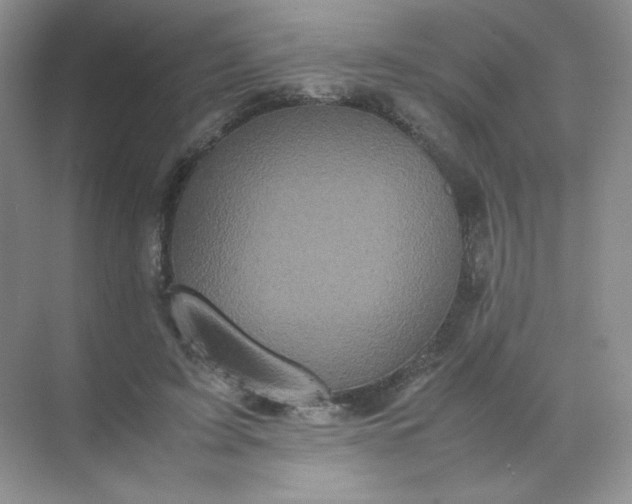X0000071920595200607212110