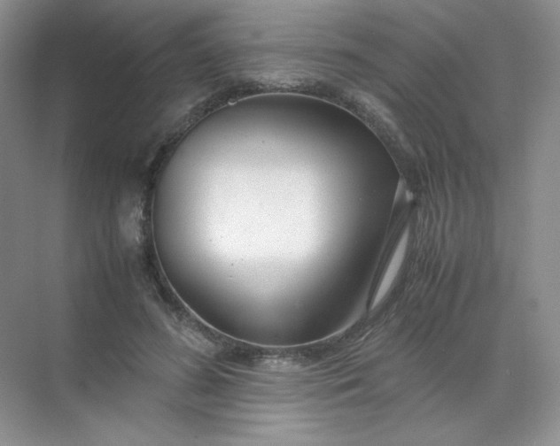 X0000071920596200607212110