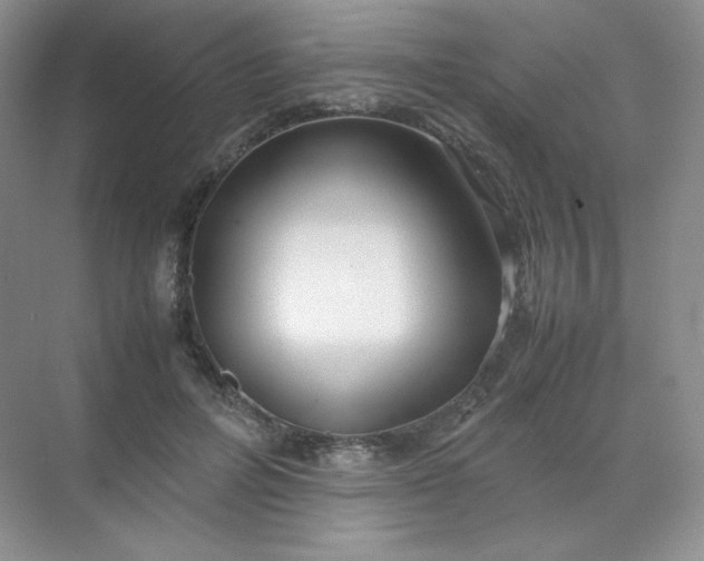 X0000071920600200607212110