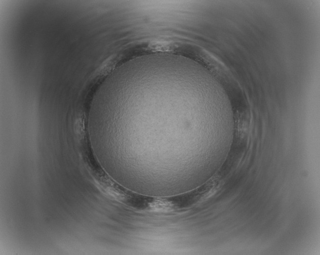 X0000071920603200607212110