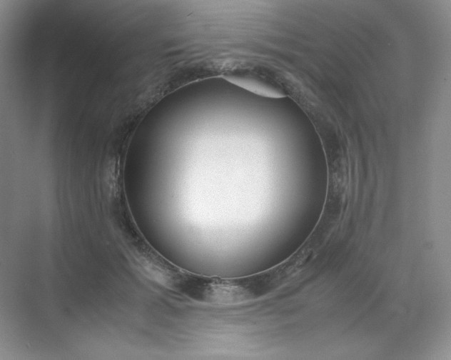 X0000071920605200607212110