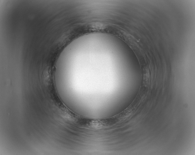 X0000071920608200607212110