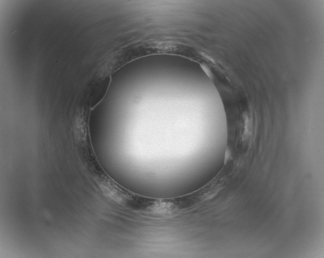 X0000071920609200607212110