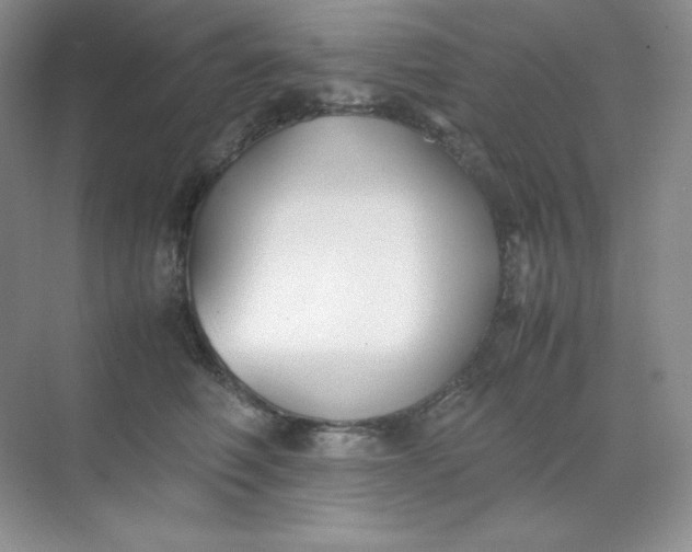 X0000071920614200607212110