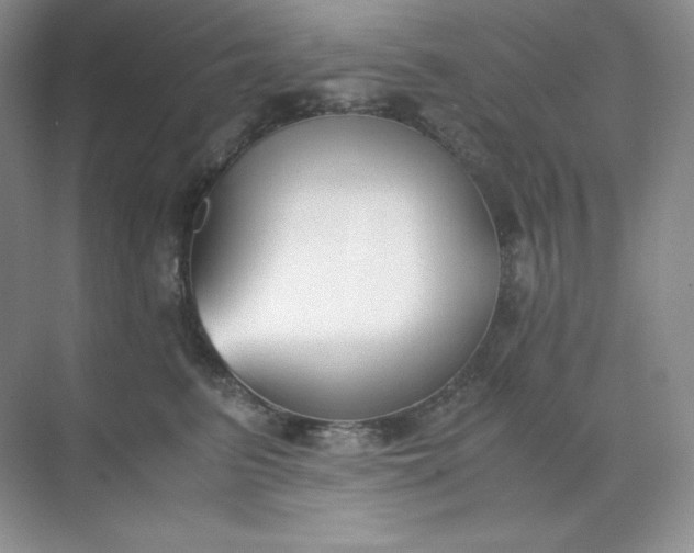 X0000071920615200607212110
