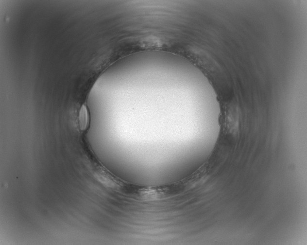 X0000071920616200607212110