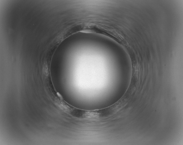 X0000071920617200607212110