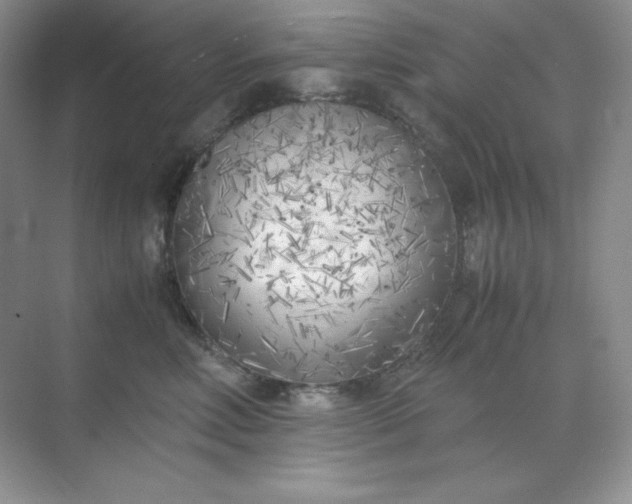 X0000071920618200607212110