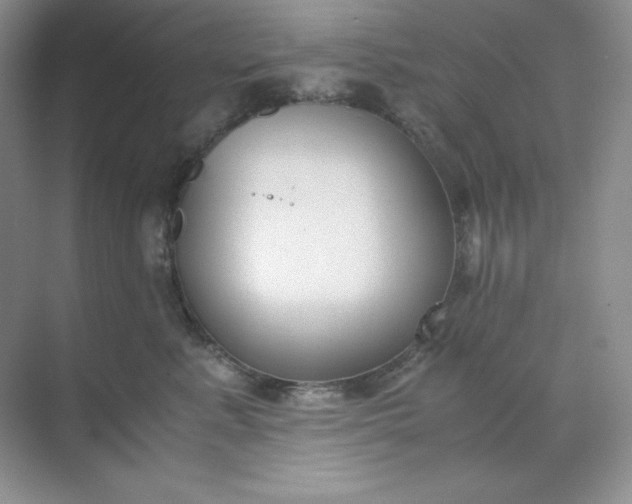 X0000071920619200607212110