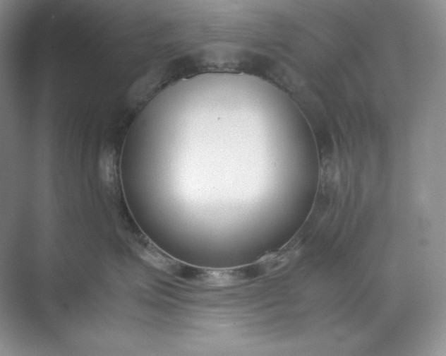 X0000071920623200607212109