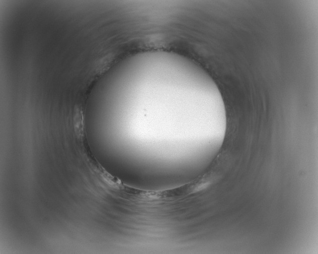 X0000071920624200607212109