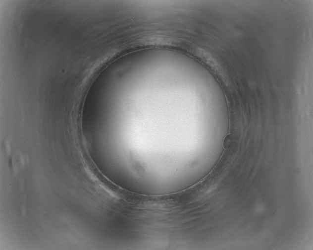 X0000071920625200607212109