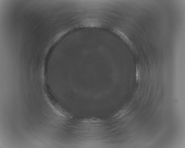 X0000071920627200607212109