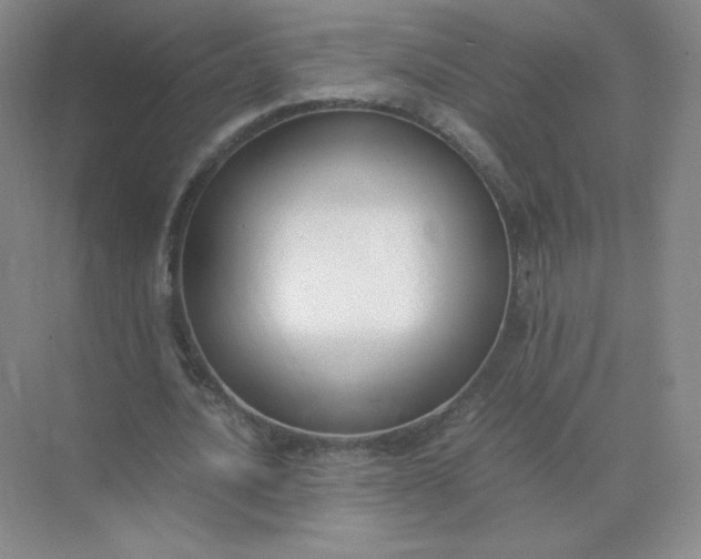 X0000071920628200607212109