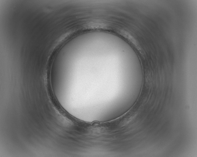 X0000071920629200607212109