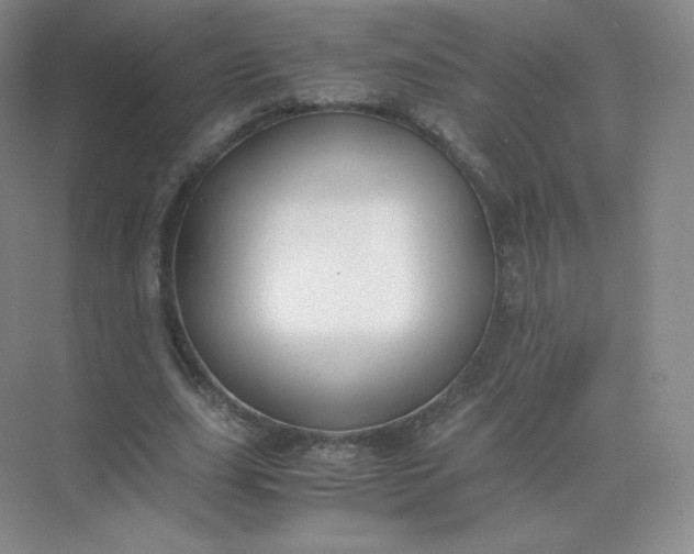 X0000071920631200607212109