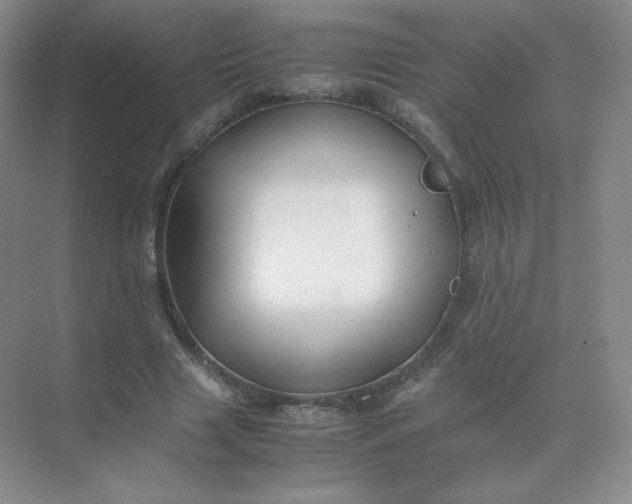 X0000071920633200607212109
