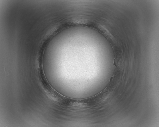 X0000071920635200607212109
