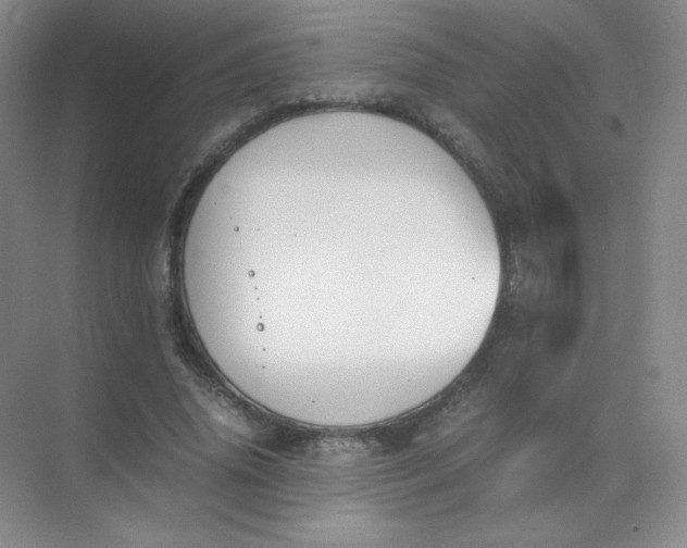 X0000071920636200607212109