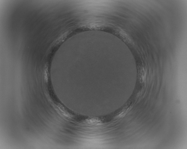 X0000071920644200607212109