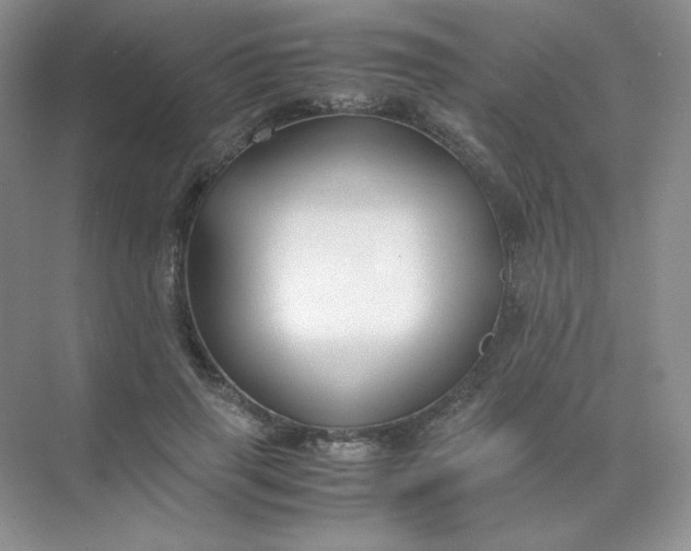 X0000071920645200607212109