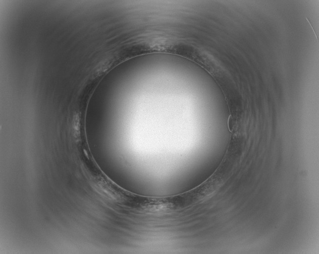 X0000071920646200607212109
