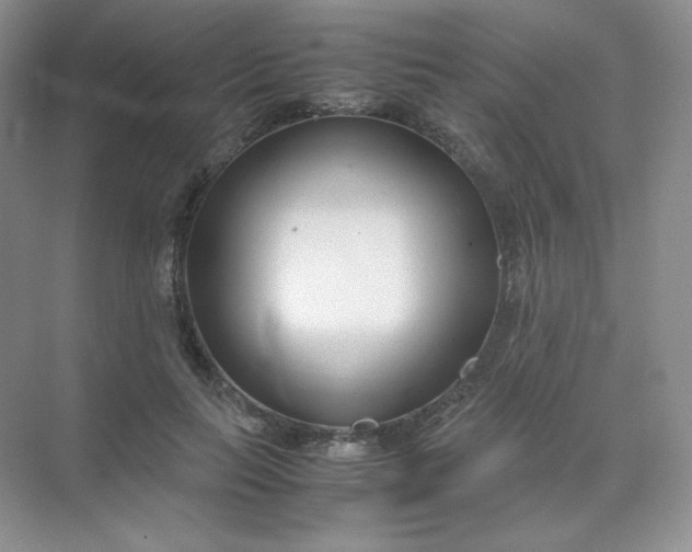 X0000071920647200607212109