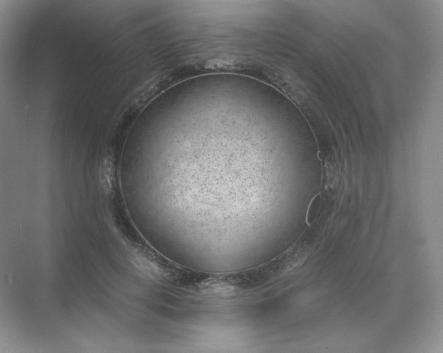 X0000071920648200607212109