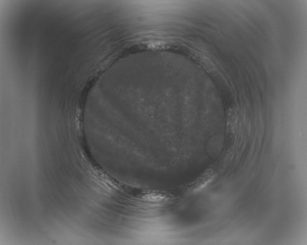 X0000071920650200607212109