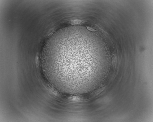 X0000071920655200607212109