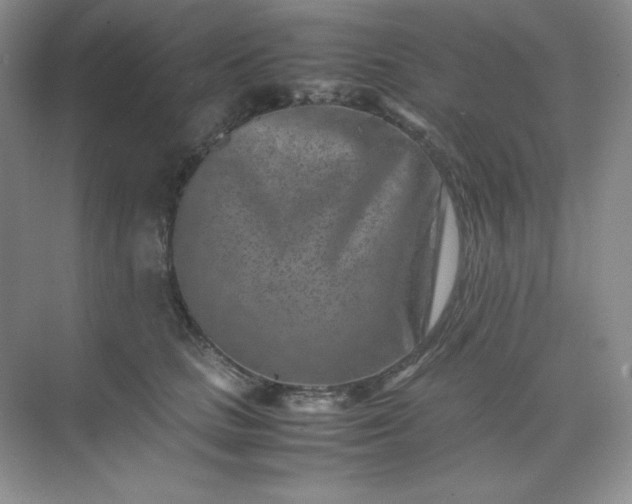 X0000071920661200607212109