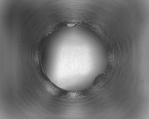 X0000071920662200607212109