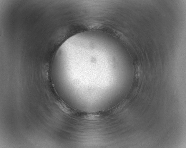 X0000071920664200607212109