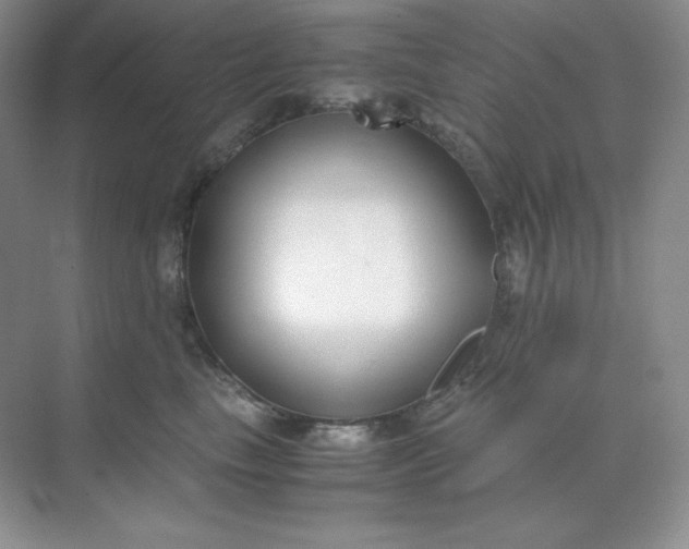 X0000071920665200607212109