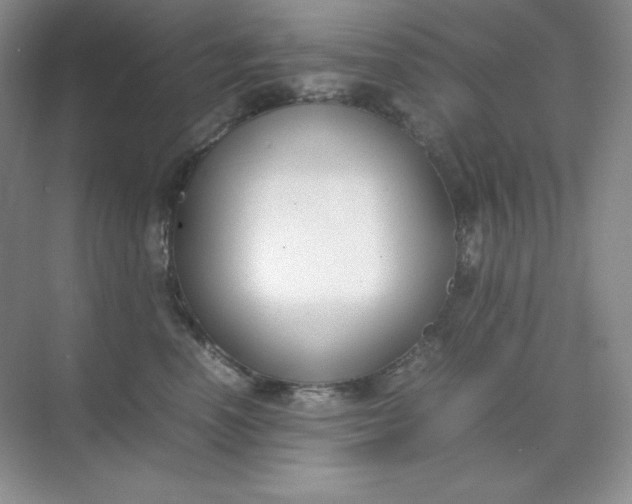 X0000071920666200607212109