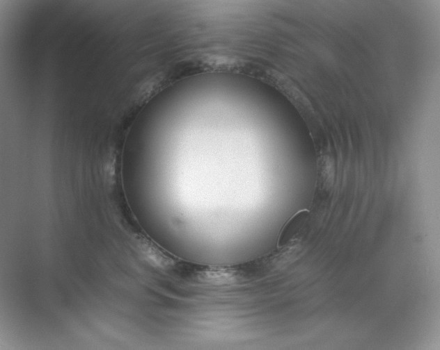 X0000071920668200607212109