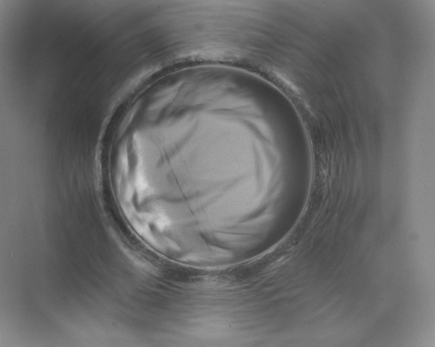 X0000071920678200607212109