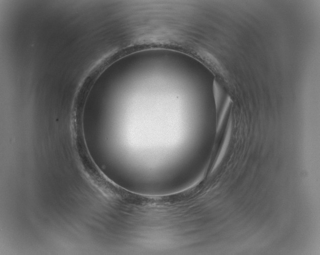 X0000071920680200607212109