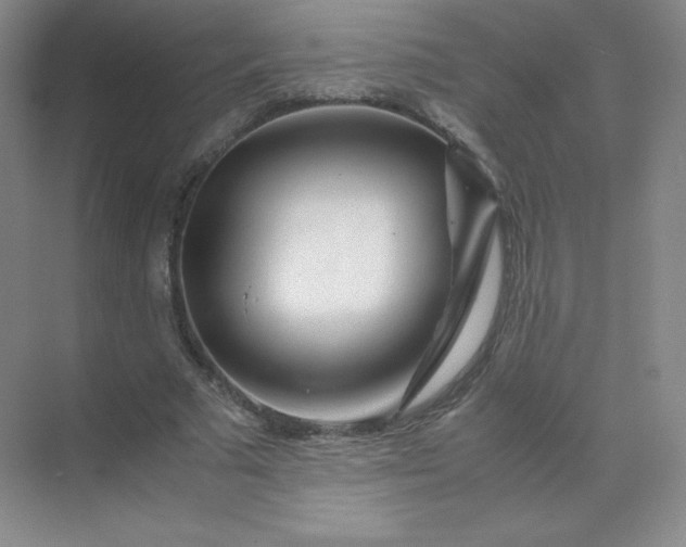 X0000071920681200607212109
