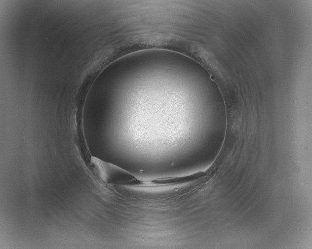 X0000071920685200607212108