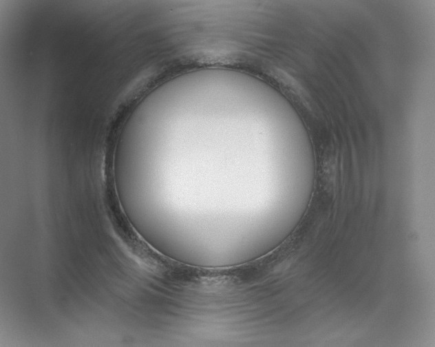 X0000071920686200607212108
