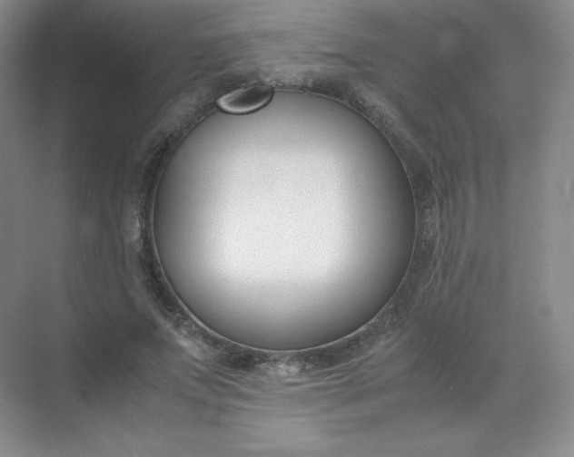 X0000071920687200607212108