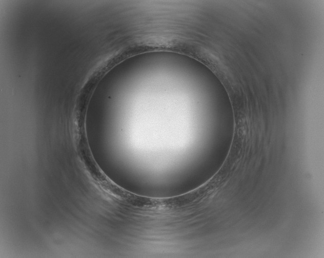 X0000071920688200607212108